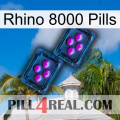 Rhino 8000 Pills 03